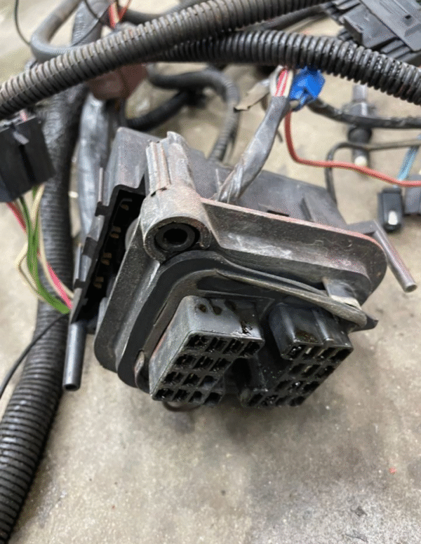 Faisceau de câblage complet pour Jeep CJ7 4.2L construit en 1979 – Image 3