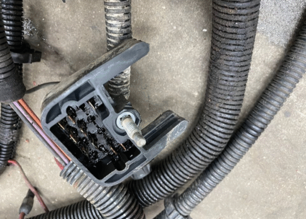 Faisceau de câblage complet pour Jeep CJ7 4.2L construit en 1979 – Image 5